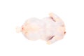 Fresh raw chicken carcass isolated on a white background