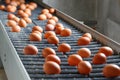 Fresh and raw chicken eggs on a conveyor belt Royalty Free Stock Photo