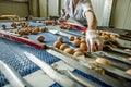 Fresh raw chicken eggs on a conveyor belt, being transferred to packaging. Royalty Free Stock Photo