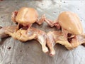 Fresh raw chicken in grocery market