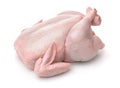 Fresh raw chicken Royalty Free Stock Photo