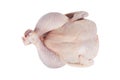 Fresh raw chicken isolated on white background with clipping path. Top view. Whole fresh chicken isolated