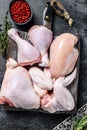 Fresh raw chicken meat, wings, breast, thigh and drumsticks. Black background. Top view