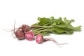 Fresh raw Chioggia beets Royalty Free Stock Photo