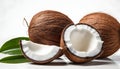 Fresh raw coconut isolated on white background v8