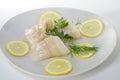 Fresh raw cod fish fillet Royalty Free Stock Photo