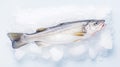 Fresh raw cod fish on ice. Seafood background. Generative AI