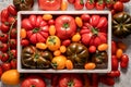 Fresh, raw and colorful tomatoes of different sizes and kinds in white wooden box Royalty Free Stock Photo