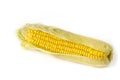 Fresh raw corn cob on the clean white background Royalty Free Stock Photo