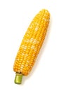 Fresh raw corn cob isolated Royalty Free Stock Photo