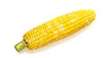 Fresh raw corn cob Royalty Free Stock Photo