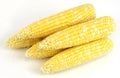 Fresh raw corn cob isolated on white background Royalty Free Stock Photo