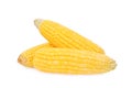 Fresh raw corn cob isolated on white Royalty Free Stock Photo