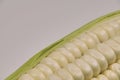 Fresh corn cob in a container on a white background Royalty Free Stock Photo