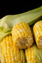 Fresh raw corn cobs close-up with green husks Royalty Free Stock Photo