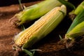 Fresh raw corn cobs on a dark wooden background. Healthy food, vegetarianism concept Royalty Free Stock Photo