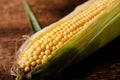 Fresh raw corn cobs on a dark wooden background. Healthy food, vegetarianism concept Royalty Free Stock Photo