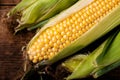 Fresh raw corn cobs on a dark wooden background. Healthy food, vegetarianism concept Royalty Free Stock Photo