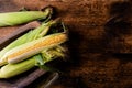 Fresh raw corn cobs on a dark wooden background. Healthy food, vegetarianism concept. Place to insert text Royalty Free Stock Photo