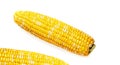 Fresh raw corn cobs Royalty Free Stock Photo