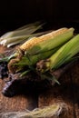 Fresh raw corn cobs on a wooden background. Healthy food, vegetarianism concept Royalty Free Stock Photo