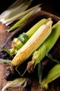 Fresh raw corn cobs on a wooden background. Healthy food, vegetarianism concept Royalty Free Stock Photo