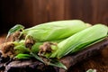 Fresh raw corn cobs on a wooden background. Healthy food, vegetarianism concept Royalty Free Stock Photo