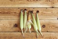 Fresh raw corn cobs on wooden background. Raw corn with skin Royalty Free Stock Photo