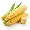 Fresh raw corn isolated on transparent background Royalty Free Stock Photo