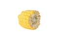 Fresh raw corn isolated on background Royalty Free Stock Photo