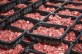 Fresh raw diced red beef meat chopped in cubes in a styrofoam container with copy space for text Royalty Free Stock Photo