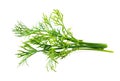 Fresh raw dill isolated on white