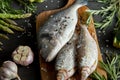 Fresh raw dorada fish on a wooden board with a set of vegetables on a black table Royalty Free Stock Photo