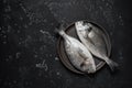 Fresh raw dorado fish on a plate, black stone background. Top view, flat lay. Royalty Free Stock Photo