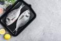 Fresh raw dorado fish with spices. Ingredients for cooking in cast iron grill pan Royalty Free Stock Photo