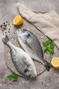 Fresh raw dorado fish with spices and lemon on a stone plate, brown grunge background. Top view, flat lay, vertical Royalty Free Stock Photo