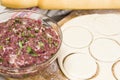 Fresh raw dough and beef forcemeat Royalty Free Stock Photo
