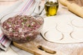 Fresh raw dough and beef forcemeat Royalty Free Stock Photo