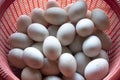 Fresh raw duck eegs in the red busket Royalty Free Stock Photo