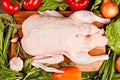 Fresh raw duck and vegetables Royalty Free Stock Photo