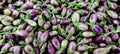 Fresh raw eggplants also known as brinjal or aubergine Royalty Free Stock Photo