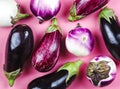 Fresh raw eggplants of different color and variety on a pink background