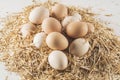 Fresh raw eggs in hen nest Royalty Free Stock Photo