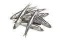 Fresh raw European anchovy