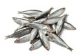 Fresh raw European sprats Royalty Free Stock Photo