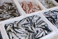 Fresh raw Europian pilchard fishes or Sardina pilchardus on ice in the box on the counter at the fish market in Athens on April