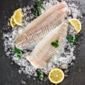 Fresh raw fillet white fish Pangasius with spices on ice over dark stone background.  Seafood, top view, flat lay, copy space Royalty Free Stock Photo