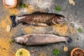 Fresh raw fish brown trout Royalty Free Stock Photo