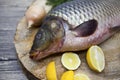 Fresh raw fish carp caught lying on a wooden stump with a knife and slices of lemon and with salt dill. Live fish crucian Carassiu