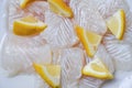 Fresh raw fish fillet piece with lemon on white plate background - Close up pangasius dolly fish meat Royalty Free Stock Photo